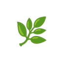 Taking Root