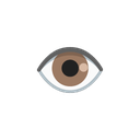 Overseer